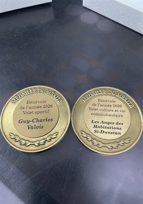 Lot de médailles argentées à insert imprimé aux couleurs d’une école et plaquette gravée de performance académique, sur rubans bleus
