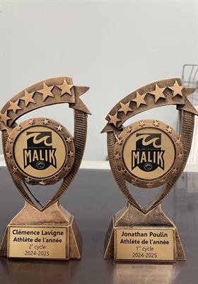 Deux trophées de résine bronze en forme d’étoile filante encerclant une pastille dorée au logo d’une école